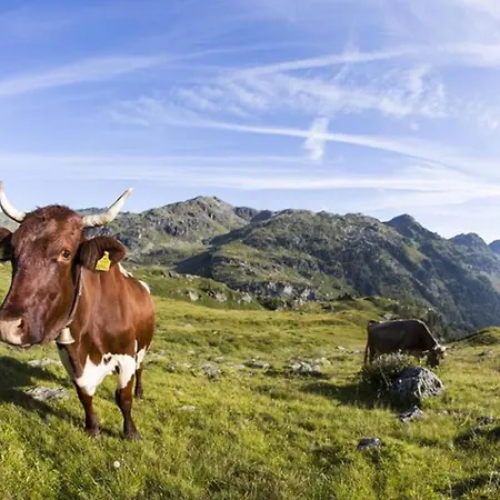 Location Gerlos! - Lovely - 6p