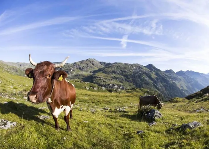 Location Gerlos! - Lovely - 6p